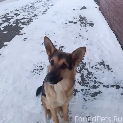 Найден ВЕО, территория КМЗ