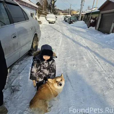 Пропал мальчик Альбус, Павловский тракт