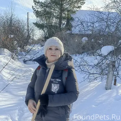 Найда — собака из дачного посёлка, жива