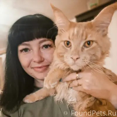 Пропал кот Алекс, Корявкко