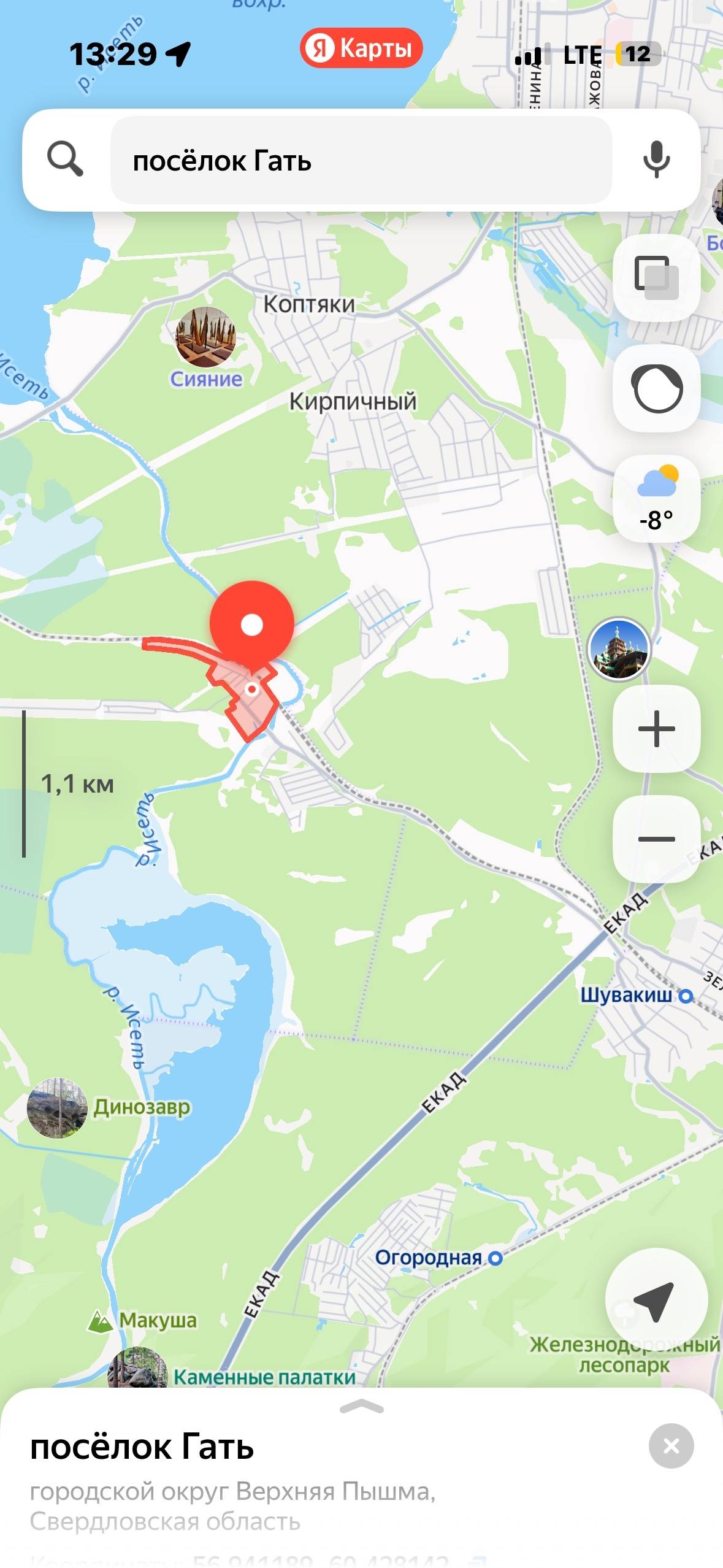 Найден овчароид, станция Гать