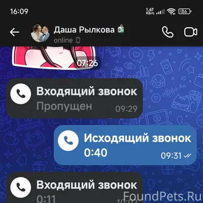 Пропала собака Боня, нижнее селение