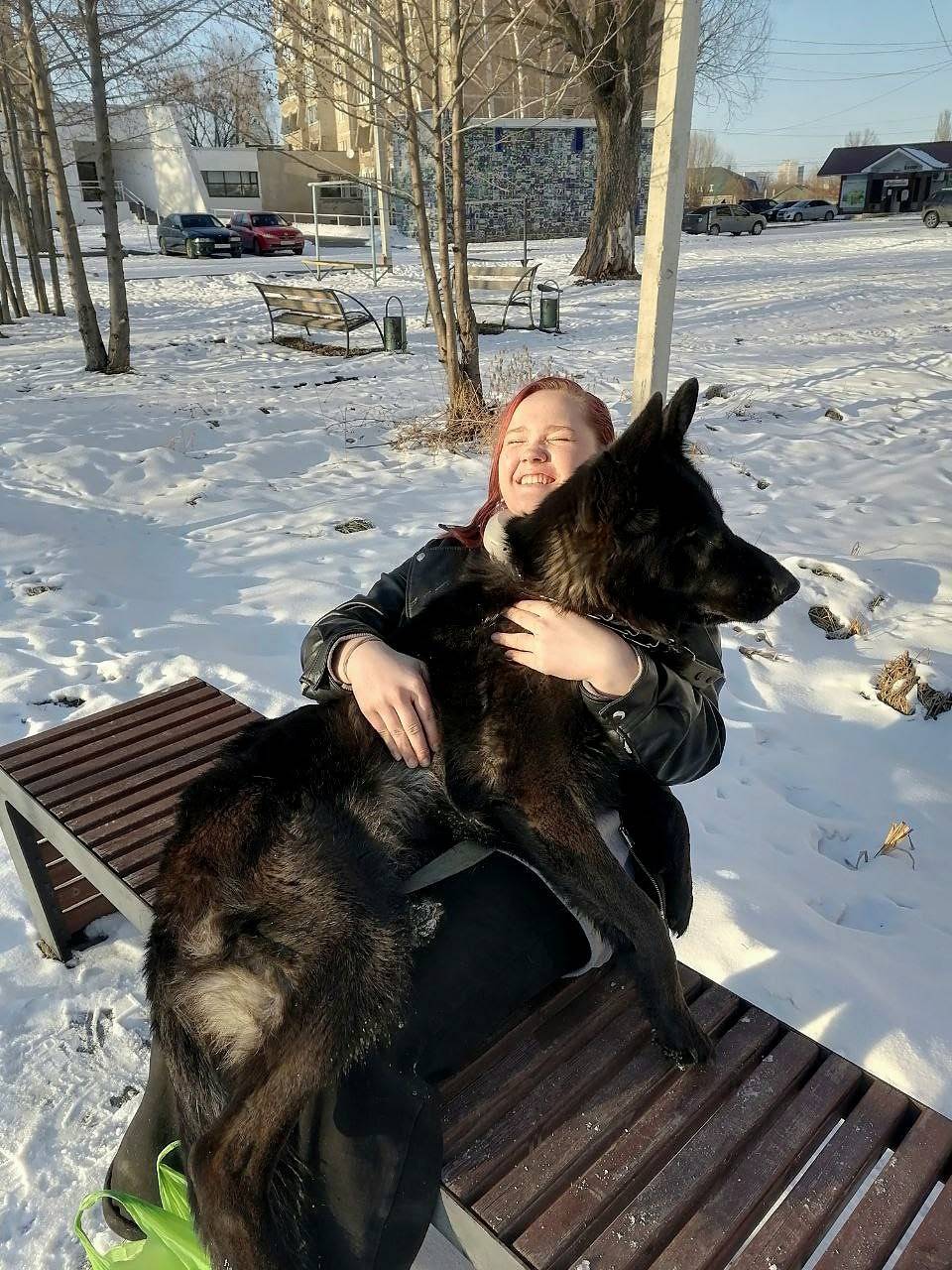 Пропал немецкая овчарка Бэрри, Самостоя