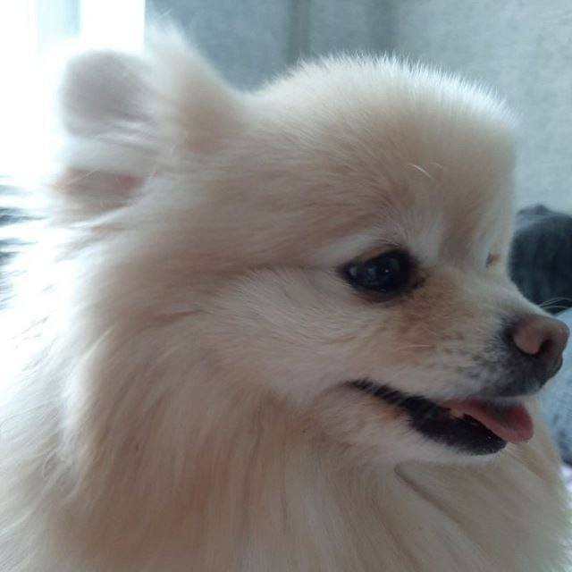 Пропала девочка Зара, Заводской район