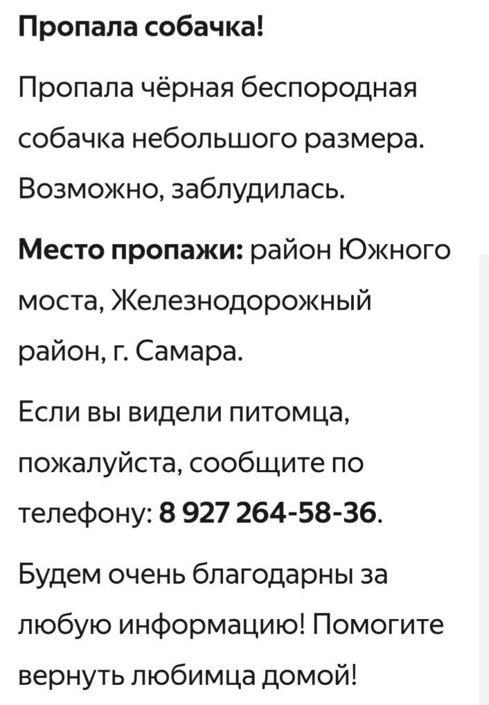 Пропала собака, Железнодорожный район