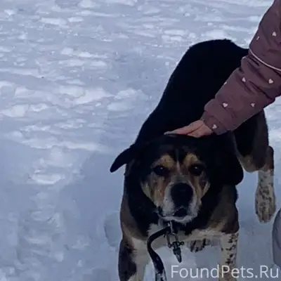 Пропал друг