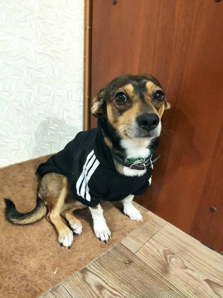 Пропал маленький Рич, район Свободы/22 Партсъезда