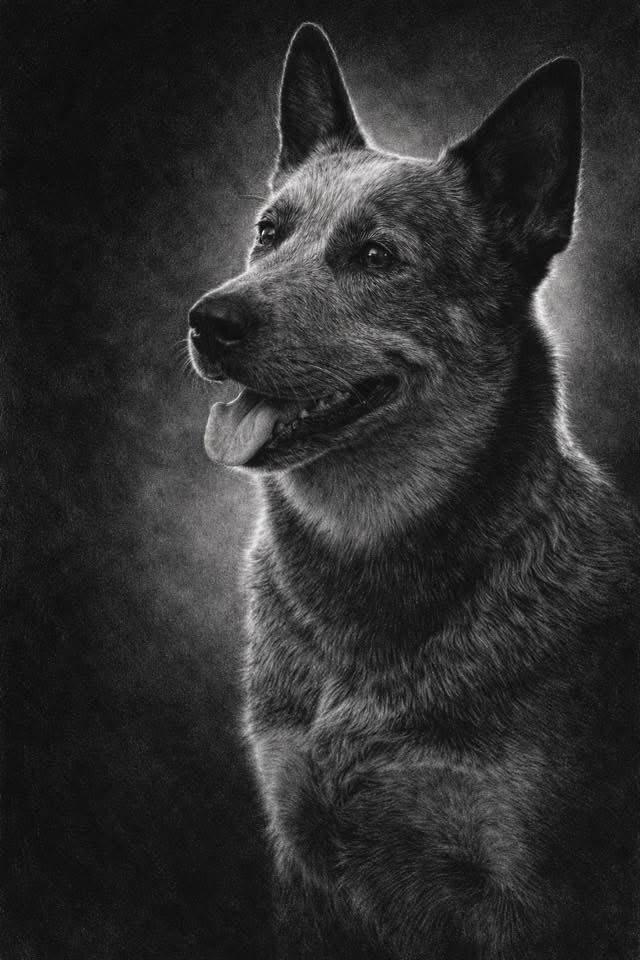 Пропала собака Боня