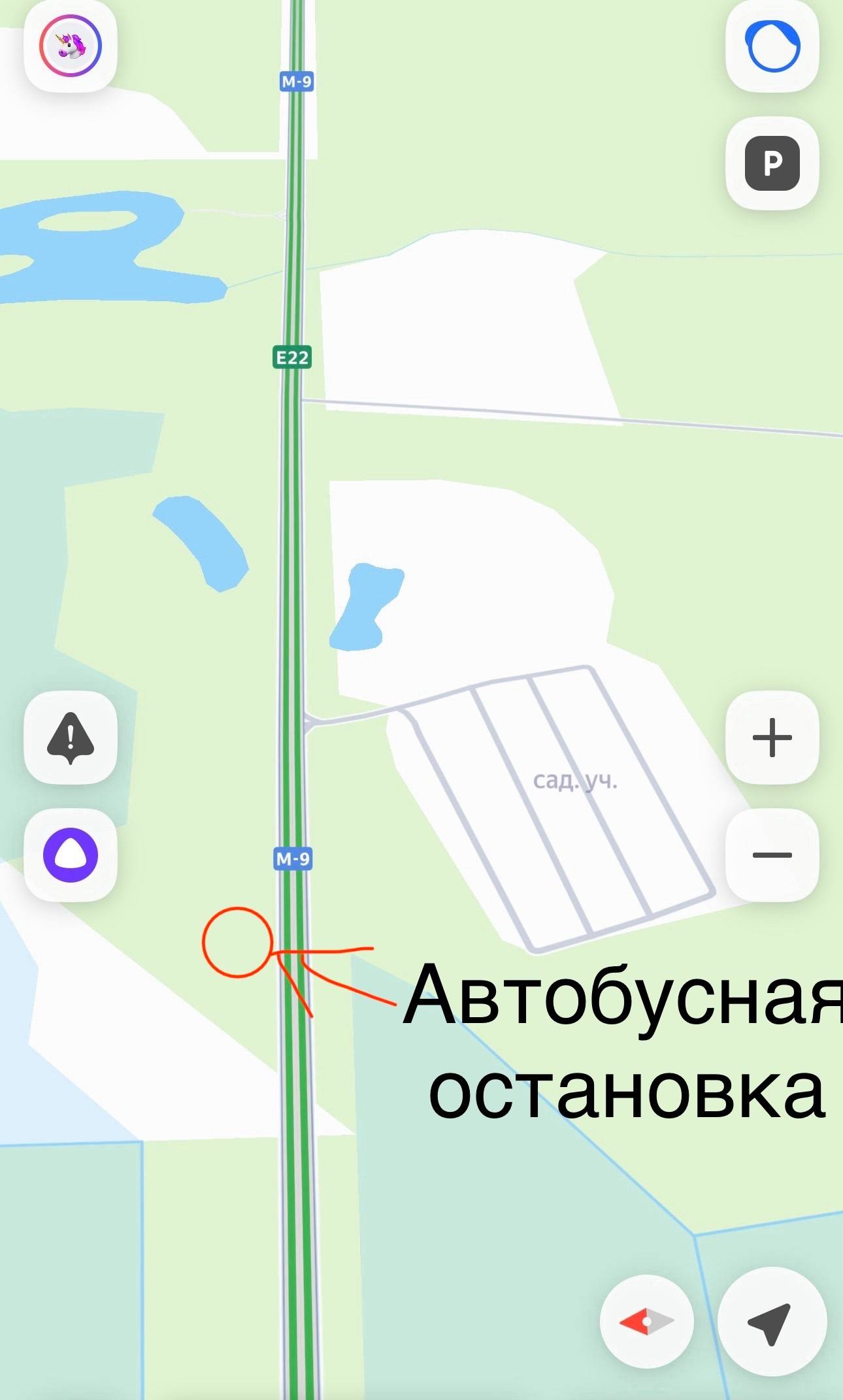 Найден пёс с подбитой лапкой, трасса м-9