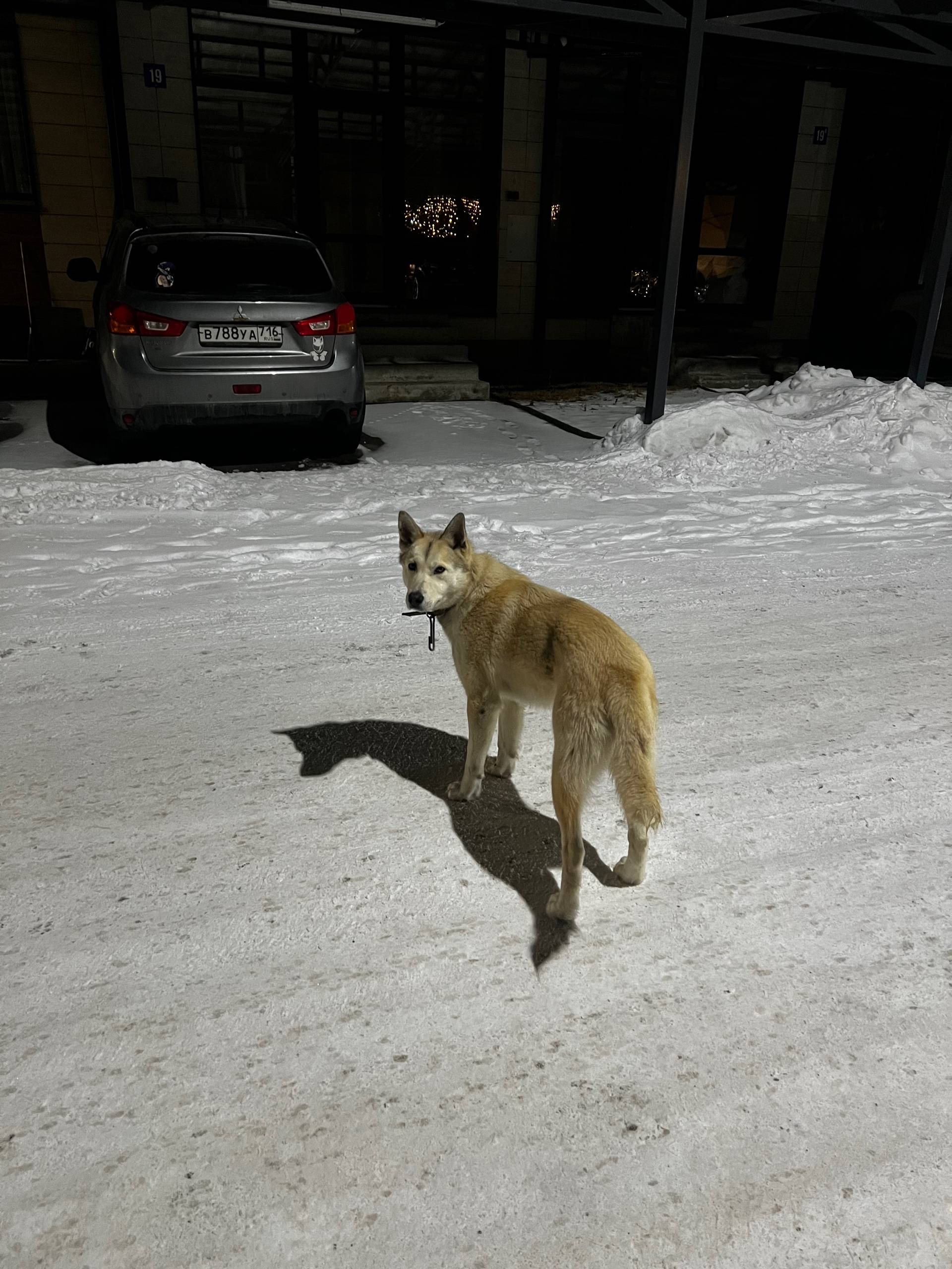 Найден мальчик, Аракчино, Волжская Гавань