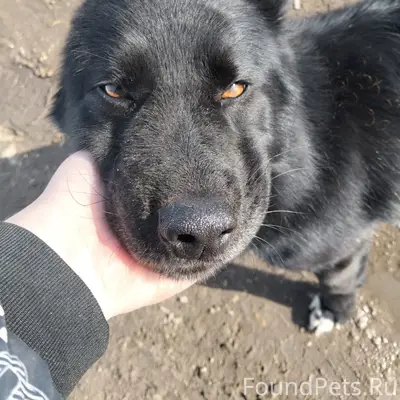 Пропал мальчик ниже среднего размера, Коломна