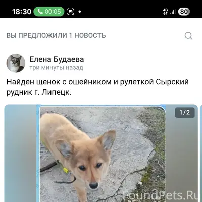 Найден щенок с ошейником, Сырский рудник, Липецк