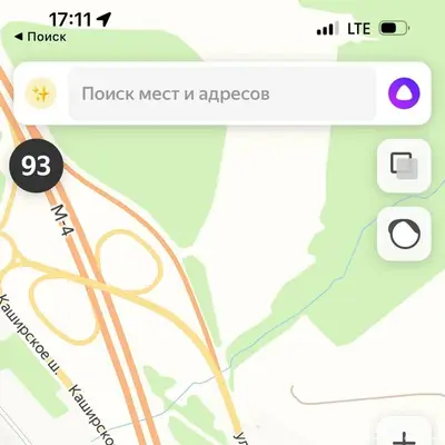 Найден пёс с перебитыми лапами, Ступинский район