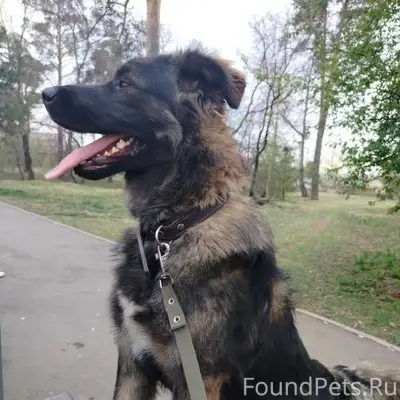 Пропал мальчик Байро, район рабочего