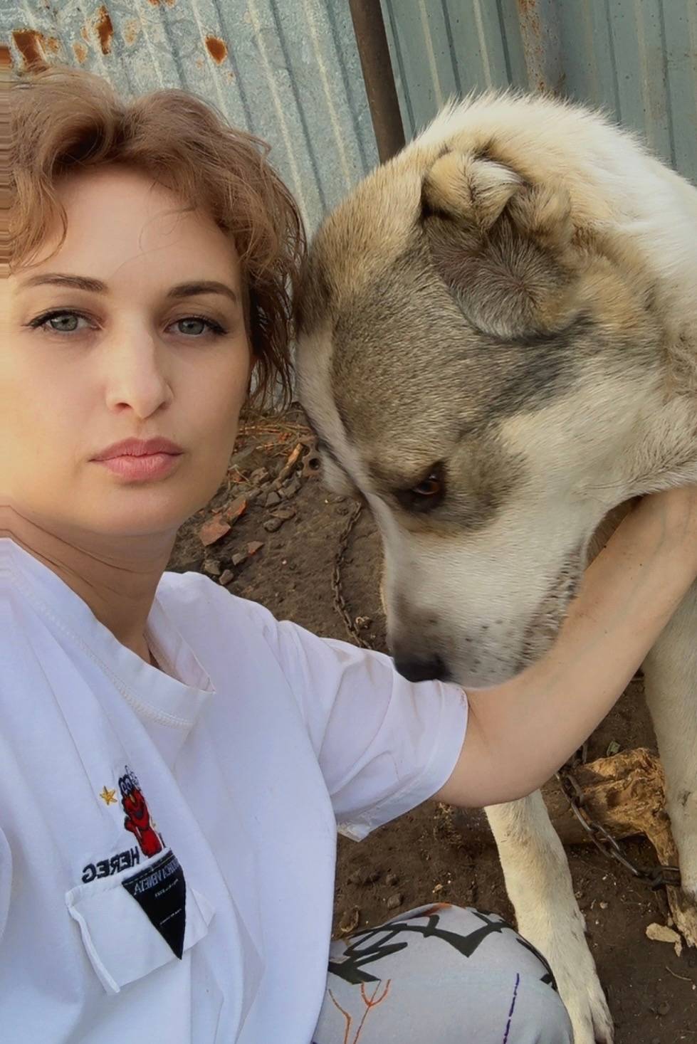 Пропала собака, СНТ Синтезкаучук, Тольятти