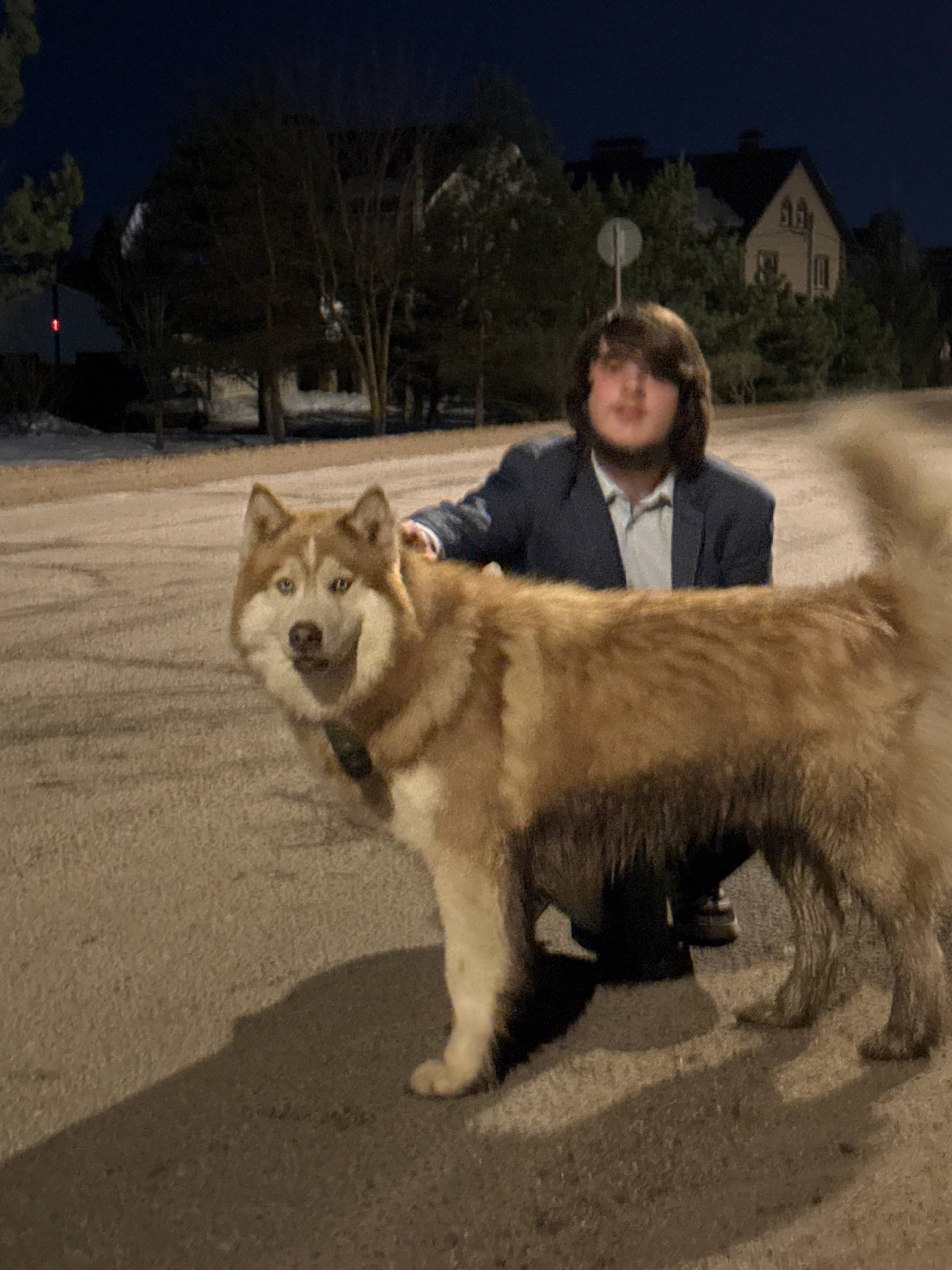 Пропала собака, Ченцово