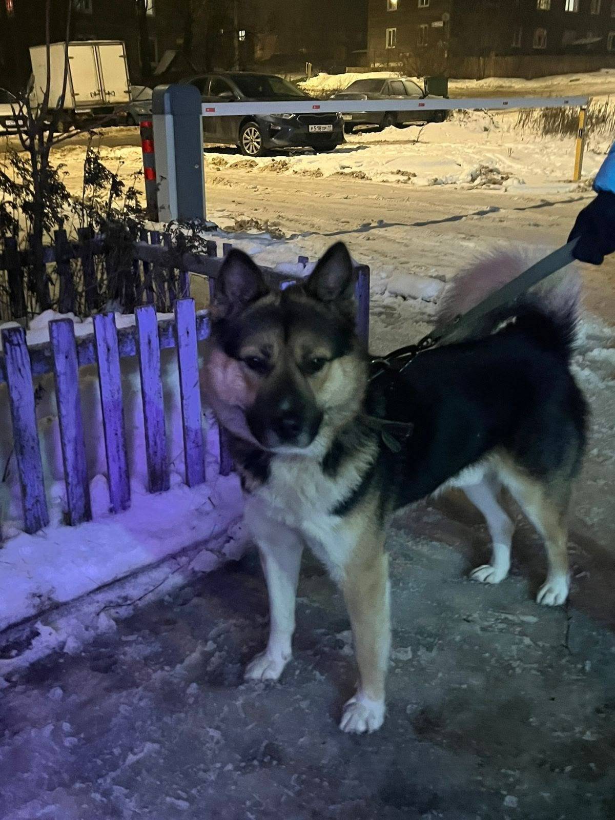 Пропал Рич, район Орбита