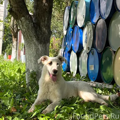 Пропал кабель, деревня Малышево