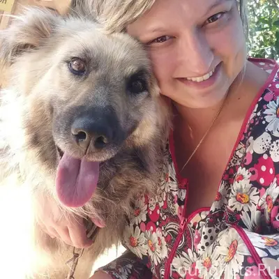 Пропала собака Чита, Бабынинский район