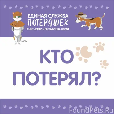 Найден белый кот, Эжва, ул. Молодежная