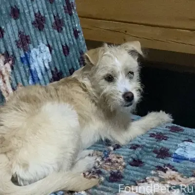 Пропала девочка 7 месяцев, улица Титова