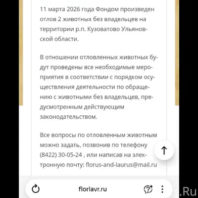 Найденныесобаки,КузоватовоиУльяновскаяобласть