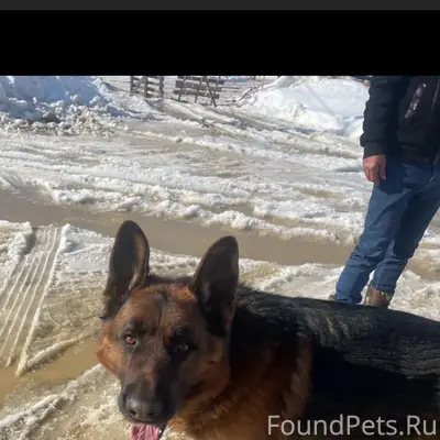 Найден немец, между Арзамасом и Хватовкой