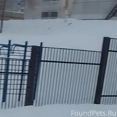 Пропал Тёма, Новоильинский район