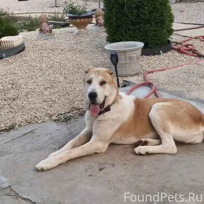 Пропала САО, станция Парк дружбы народов