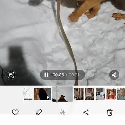 Пропал крупный кобель Честр, похож на овчарку