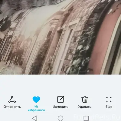 Пропала серая кошка Леся, Южный городок