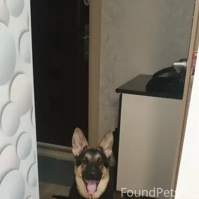 Пропал Граф, 5 месяцев, база Благоленд