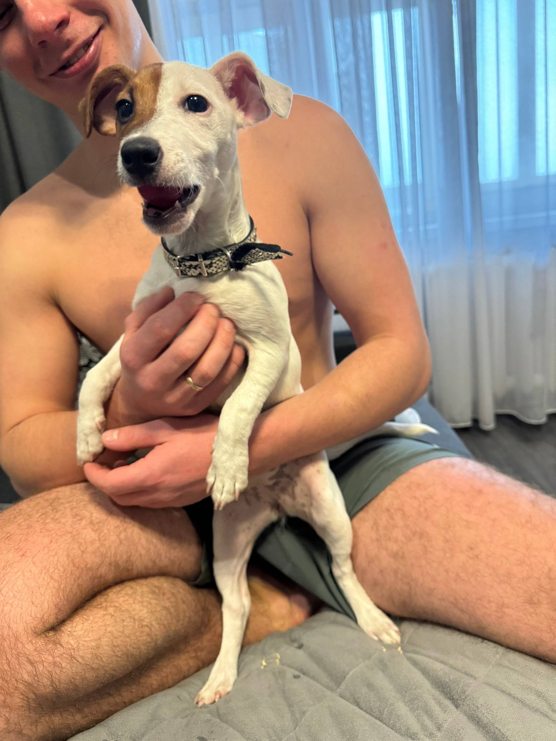 Найден тип собака, в районе института мвд