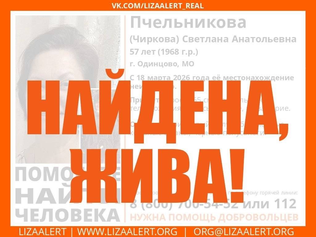 Найдена кошка Светлана