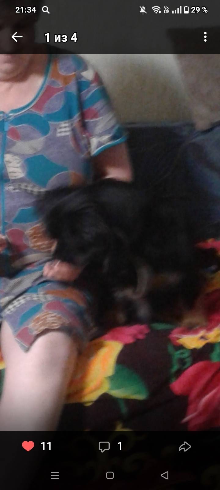 Пропал Бобик, около школы №6