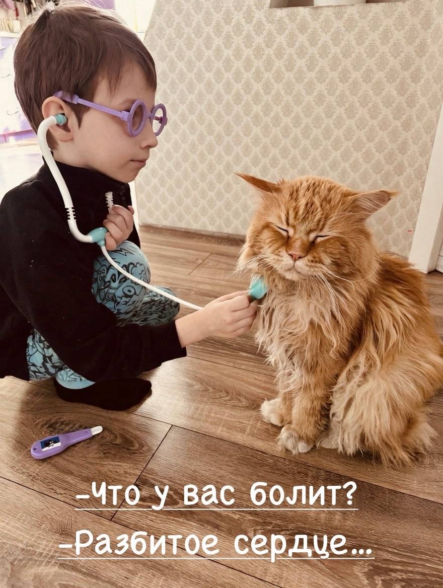 Домашний кот Марс гулял с соседской кошкой