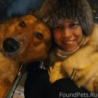 Пропал пёс Рей