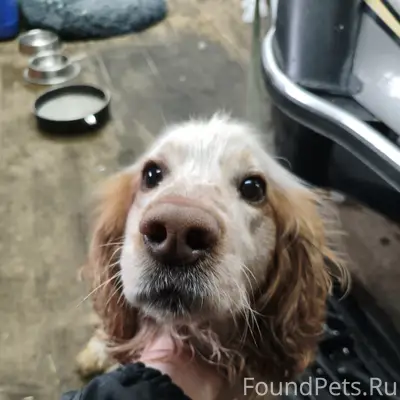 Найден тип неизвестен, место неизвестно