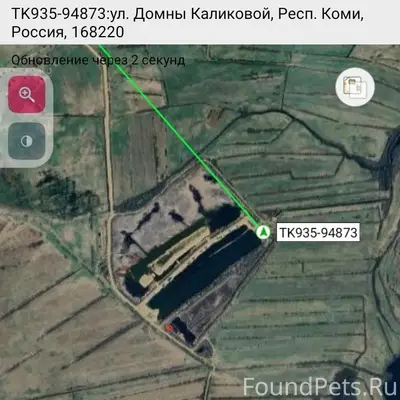 Найдены трупы собак, похожие на русско-европейскую лайку, Выльгорт