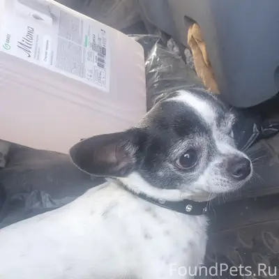 Найден Чихуа, район 22-съезда