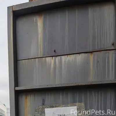 Пропала кошка с гетерохромией, район Даоли