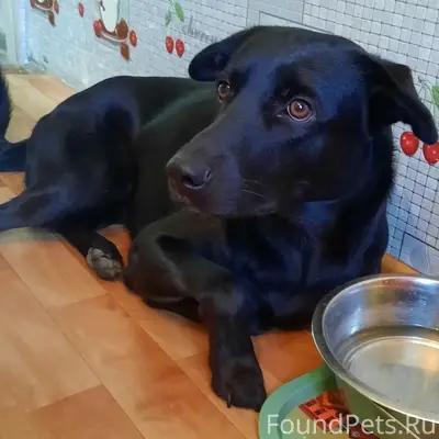 Пропал Сэм, Ленинский район