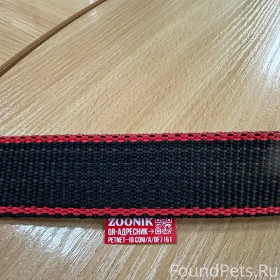 Найдена немецкая овчарка, г. Барнаул