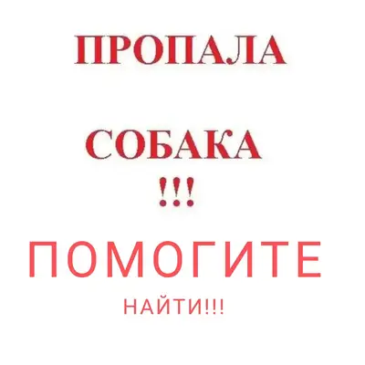 Пропала русская пегая, Мостопоезд