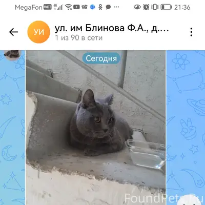 Хозяева отзовитесь!