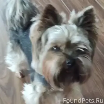 Помогите найти члена семьи!