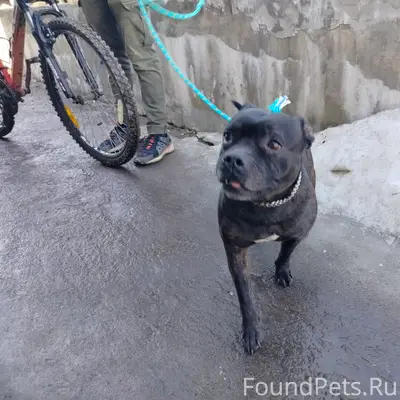 Найден тип неизвестен, Каблуково