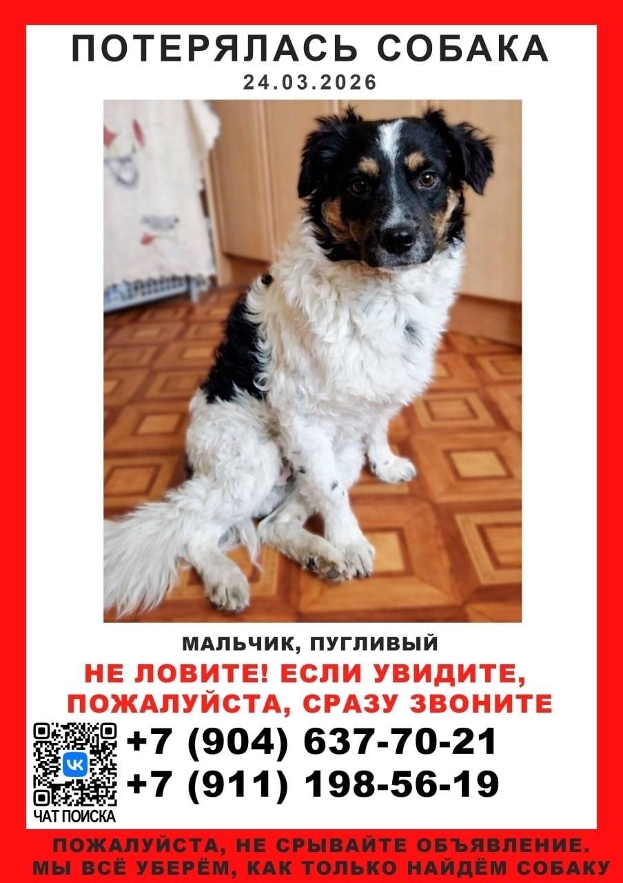 Пропал метис Ден, Приморский район