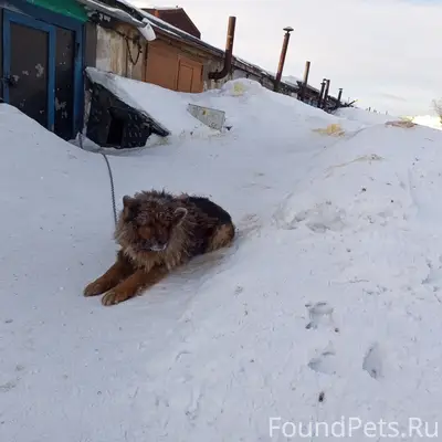 Пропал Норд, г. П.Ревда