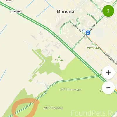 Найден цвергпинчер, СНТ Металлург, СНТ Сажевик